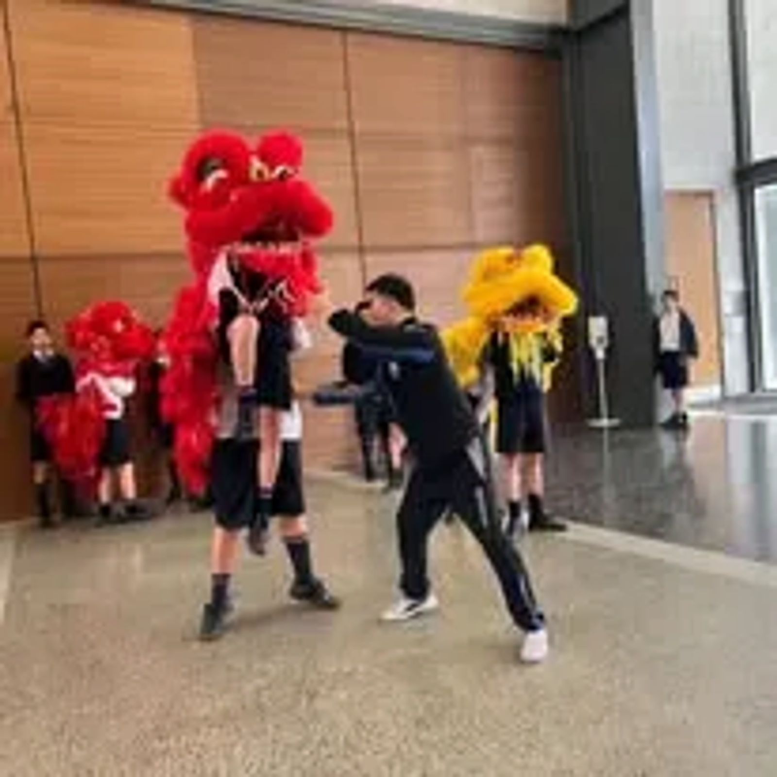Chinese Wushu Cultural Month