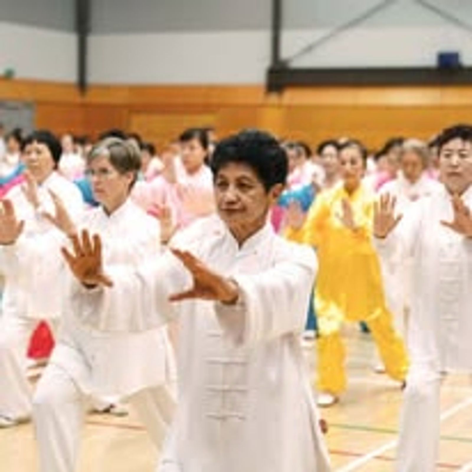 Chinese Wushu Cultural Month