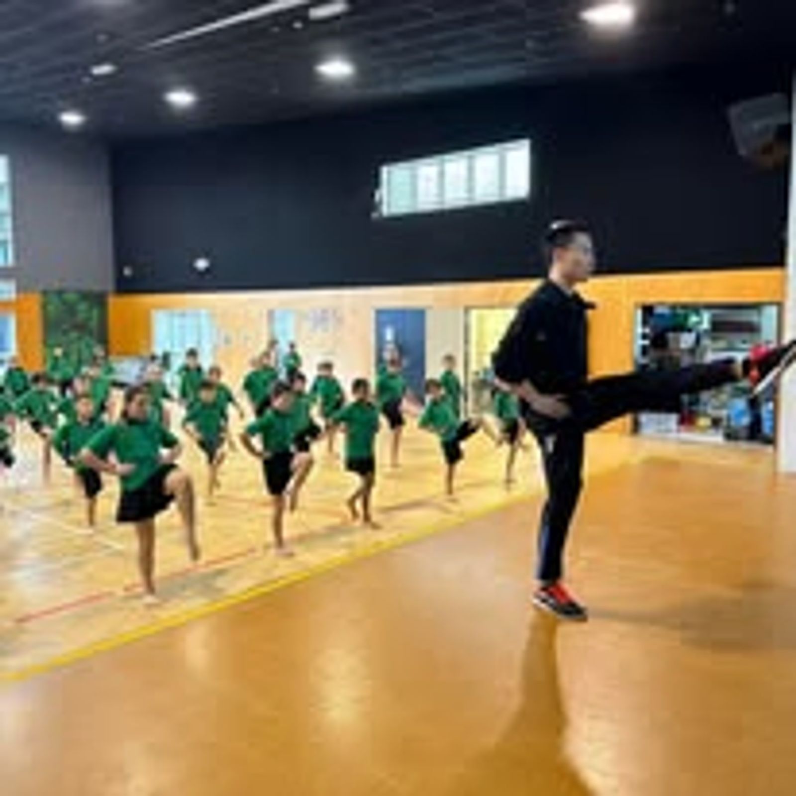 Chinese Wushu Cultural Month